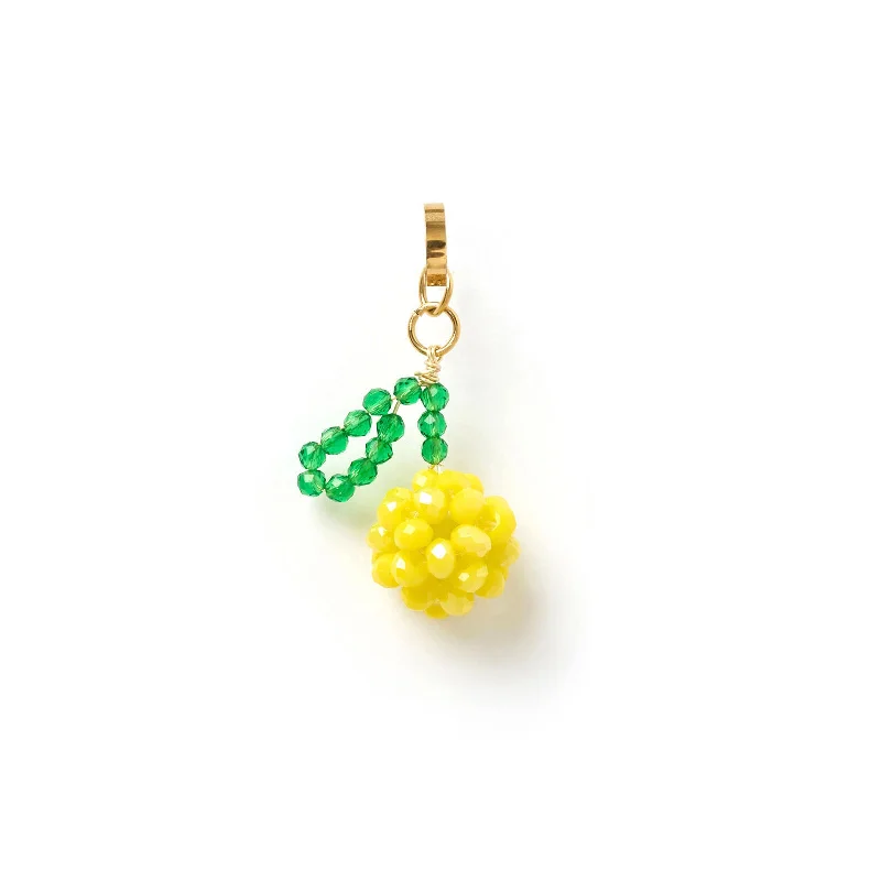 Modern Jewelry At Exclusive Discounts – Shop Today Lemon Beaded Charm